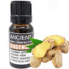 Ginger Essential Oil 10 ml