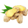 Ginger Essential Oil 10 ml
