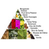Incense Brick for 7 Chakra Anahata Incense Burner Diffuser