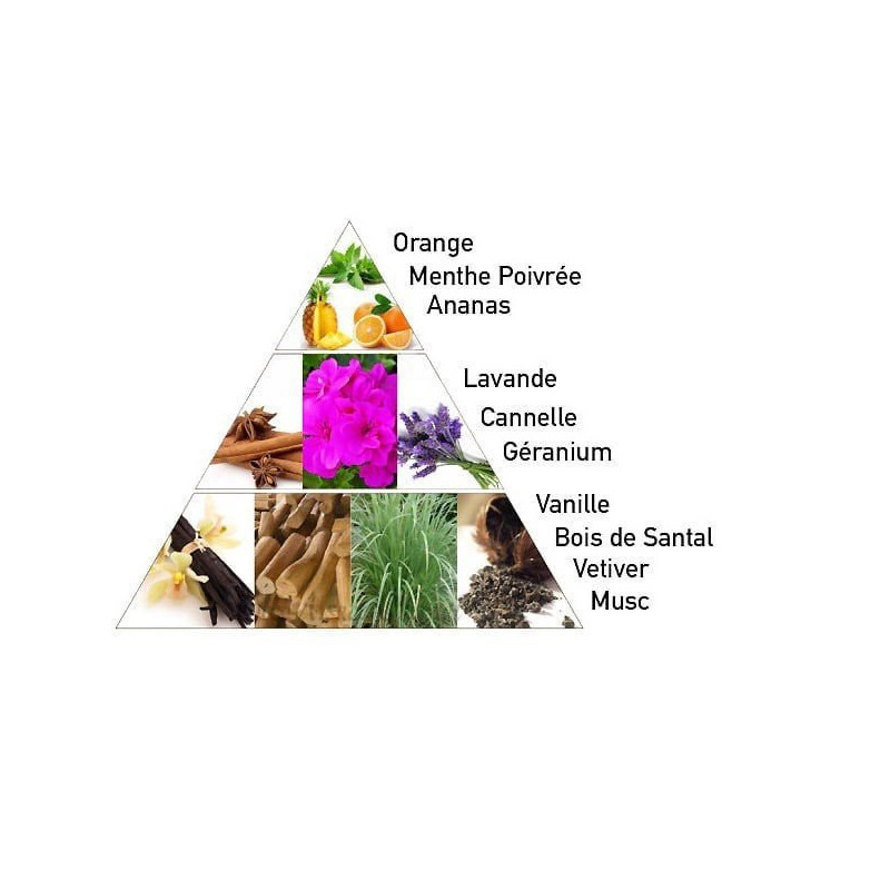 Brique d'Encens pour Diffuseur Brûle Encens 7 Chakra Vishuddha