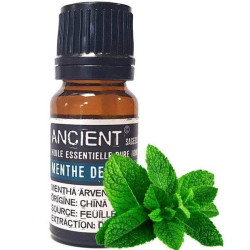 Ätherisches Öl aus Ackerminze 10 ml