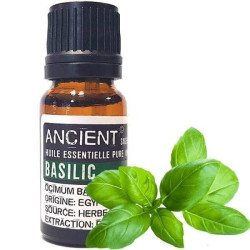 Huile Essentielle de Basilic 10 ml