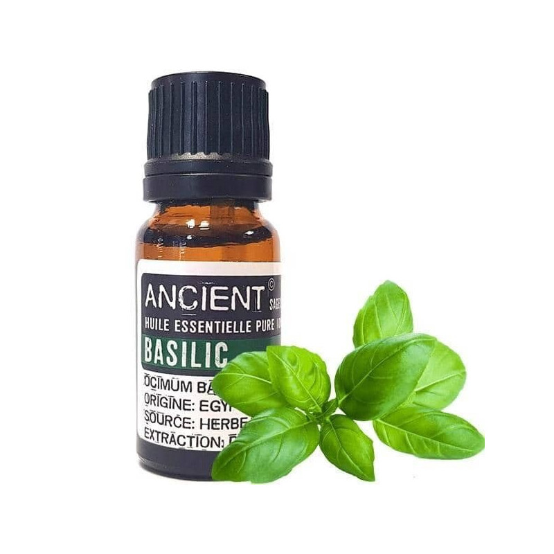 Ätherisches Basilikumöl 10 ml