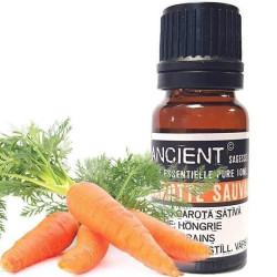 Ätherisches Öl aus Wilder Karotte 10 ml