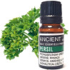 Ätherisches Öl aus Petersilie 10 ml
