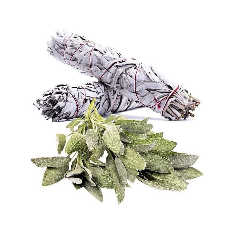 Huile Essentielle de Sauge Sclarée 10 ml