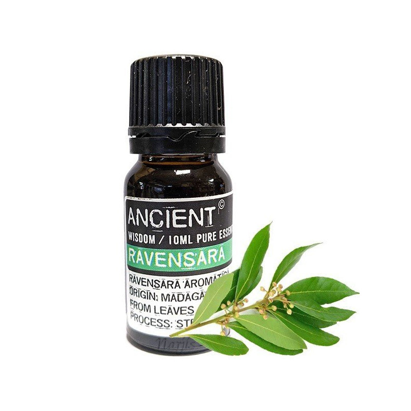 Ätherisches Ravintsara-Öl