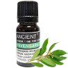 Ravintsara Essential Oil