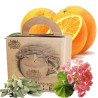 Pure Plant Soy and Jojoba Toning and Firming Massage Candle