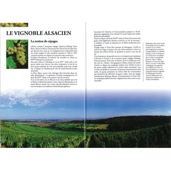 Illustrated Book Alsace The Wine Route