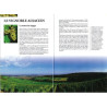 Illustrated Book Alsace The Wine Route