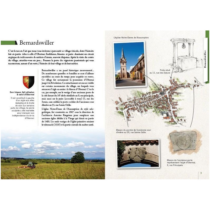 Illustriertes Buch Obernai und das Land von Sainte-Odile