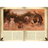 Illustriertes Buch Die Hexen des Elsass