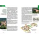Livre Illustré Balades autour des Châteaux Forts d'Alsace