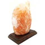 Himalayan Salt Crystal Lamp Fern
