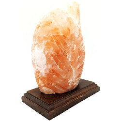 Lampe en Cristal de Sel de l’Himalaya Fougère