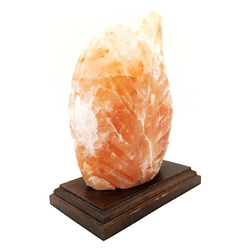 Lampe en Cristal de Sel de l’Himalaya Fougère