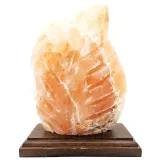 Lampe en Cristal de Sel de l’Himalaya Fougère