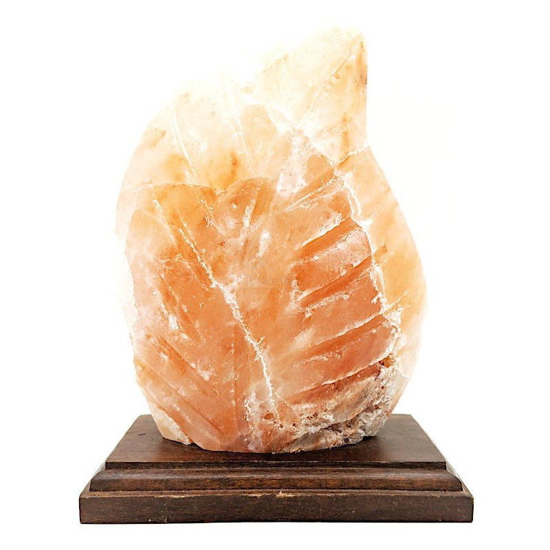 Lampe en Cristal de Sel de l’Himalaya Fougère
