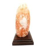 Himalayan Salt Crystal Lamp Fern