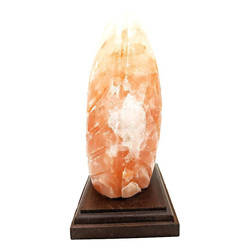 Lampe en Cristal de Sel de l’Himalaya Fougère