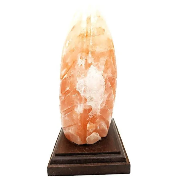 Lampe en Cristal de Sel de l’Himalaya Fougère