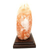 Himalayan Salt Crystal Lamp Fern
