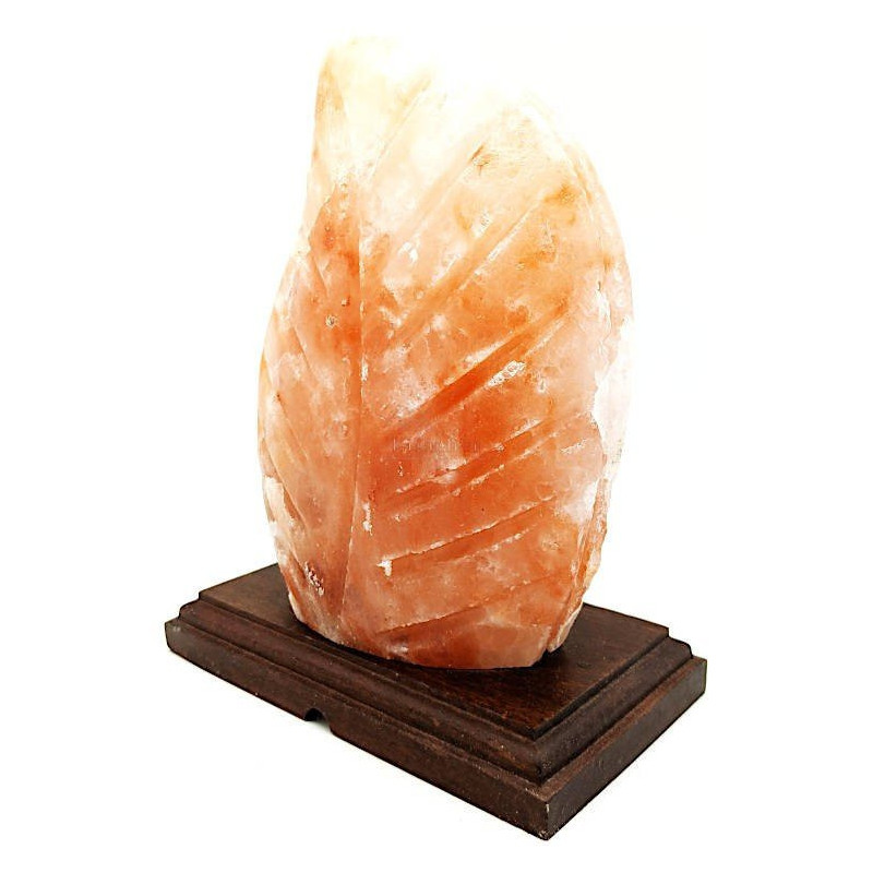 Lampe en Cristal de Sel de l’Himalaya Fougère