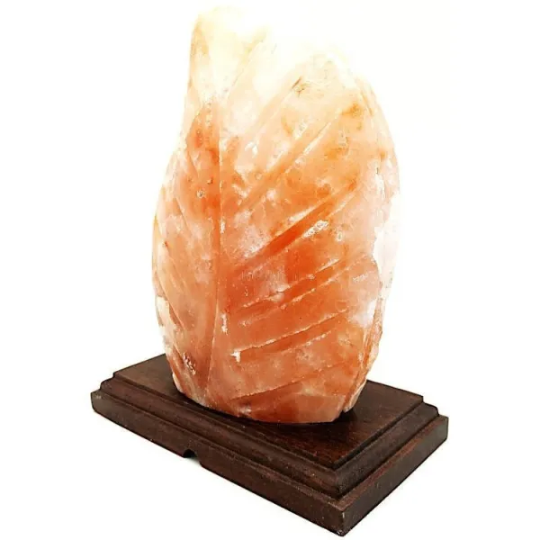 Lampe en Cristal de Sel de l’Himalaya Fougère