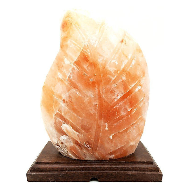 Lampe en Cristal de Sel de l’Himalaya Fougère