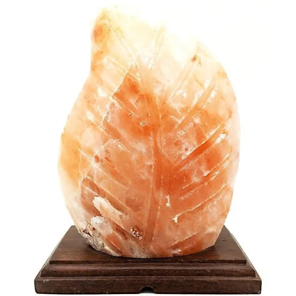 Himalaya-Salzkristalllampe Farn