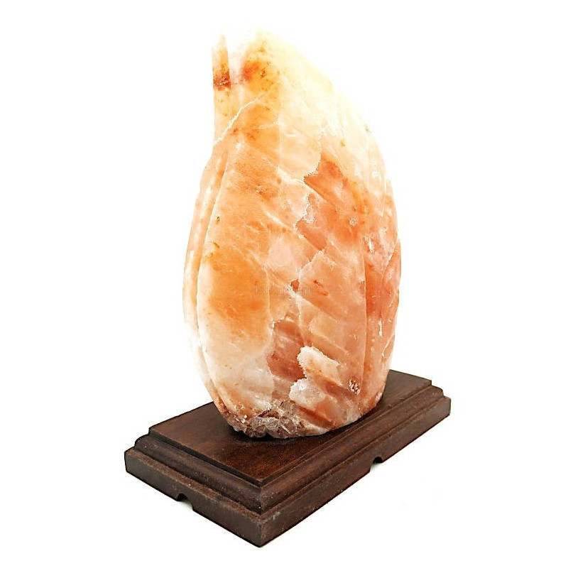 Lampe en Cristal de Sel de l’Himalaya Fougère