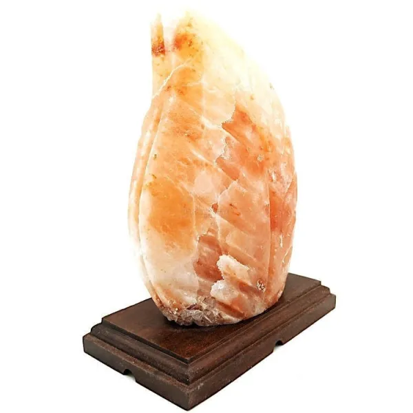 Himalaya-Salzkristalllampe Farn