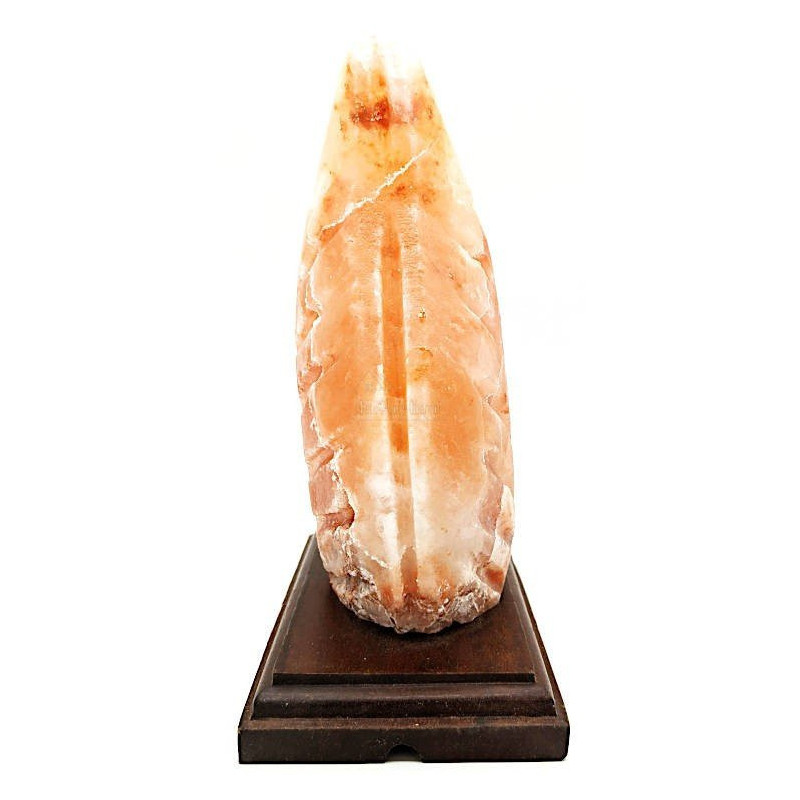 Lampe en Cristal de Sel de l’Himalaya Fougère