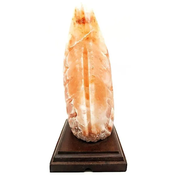 Lampe en Cristal de Sel de l’Himalaya Fougère