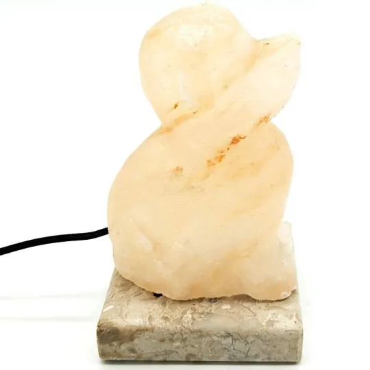 Lampe USB en Cristal de Sel de l’Himalaya Chien assis