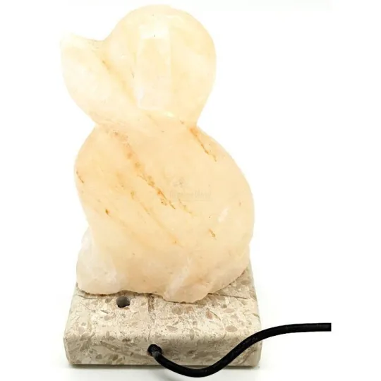 USB-lamp Himalayazout-kristal, zittende hond