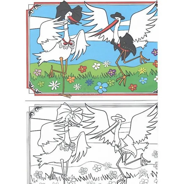 Alsatian Villages and Landscapes Colouring Book