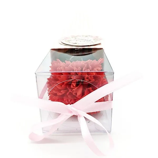 Offrez une Oeillet Rouge en Pétales de Savon