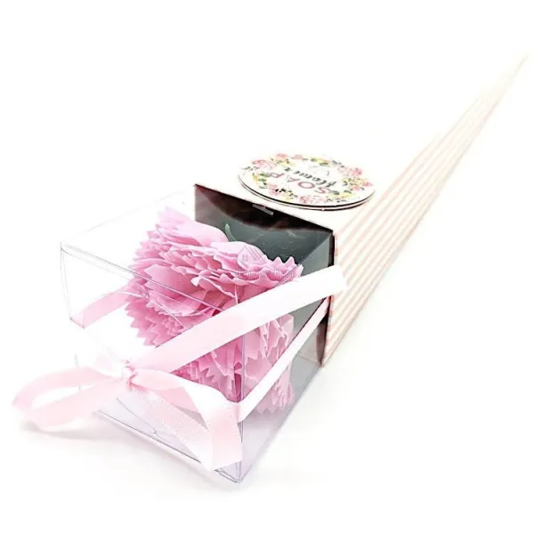 Verschenken Sie eine rosa Nelke mit Seifenblättern
