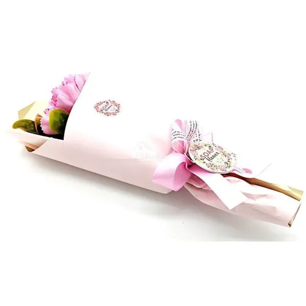 Verschenken Sie einen Strauß aus rosa Nelken mit Seifenblättern