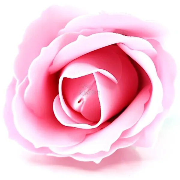 50 Stück Rosen aus Seifenblättern