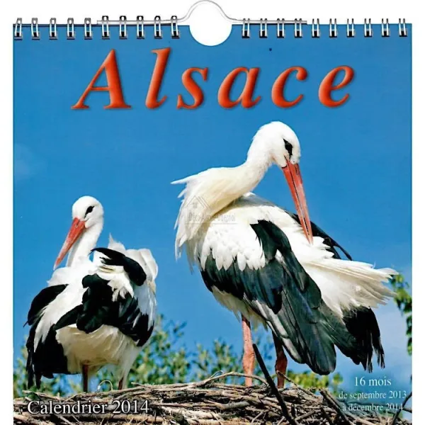 Alsatian Villages in Colour Calendar 2014
