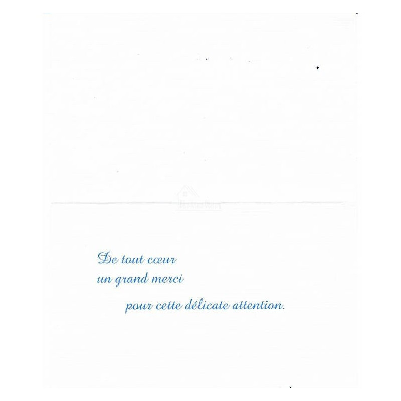 5 Cartes de Remerciement Mignonnettes avec Enveloppes