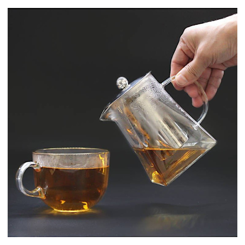 Théière en Verre avec filtre d'infusion en Inox 750 ml