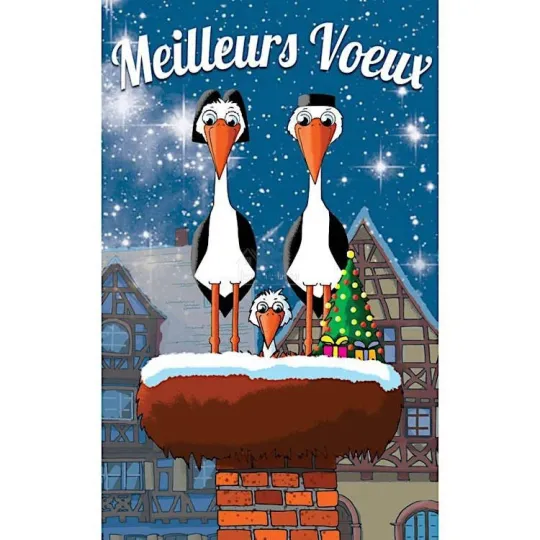 6 Cartes Meilleurs Voeux Mignonnettes Jeannala et Seppala avec Enveloppes