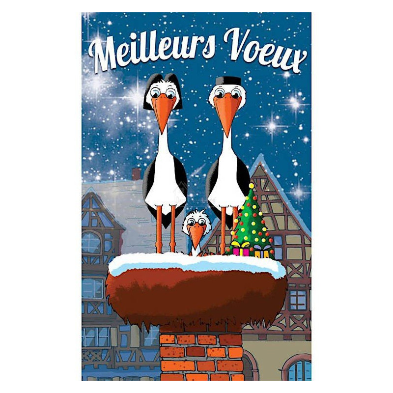 6 Cartes Meilleurs Voeux Mignonnettes Jeannala et Seppala avec Enveloppes
