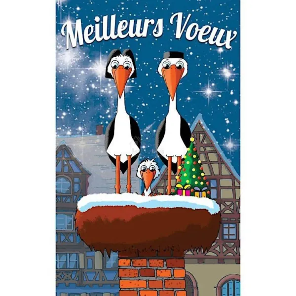 6 Cartes Meilleurs Voeux Mignonnettes Jeannala et Seppala avec Enveloppes