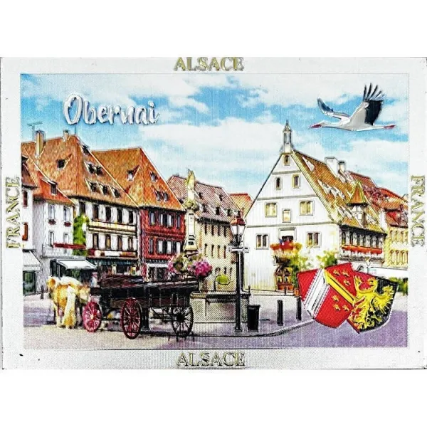 Decorative Magnet Market Square Obernai silver glittering