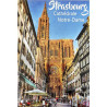 Magnet Décoratif Vue sur la Cathédrale Notre-Dame de Strasbourg